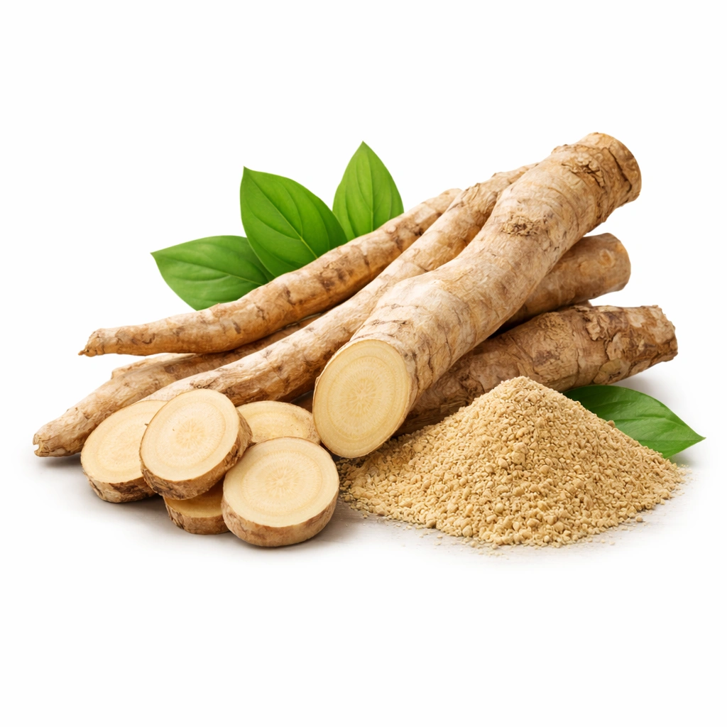 image - 2026-04-03T164431.334