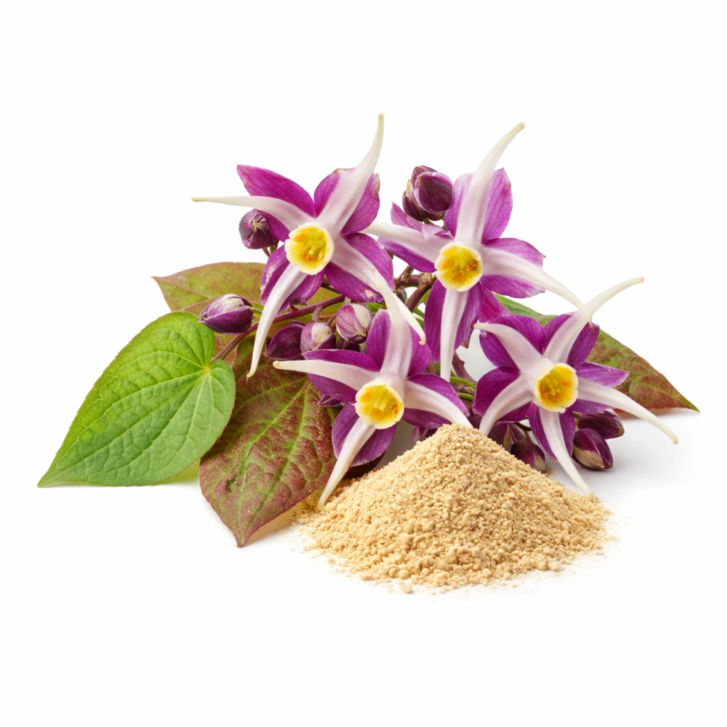 image - 2026-04-03T164743.520