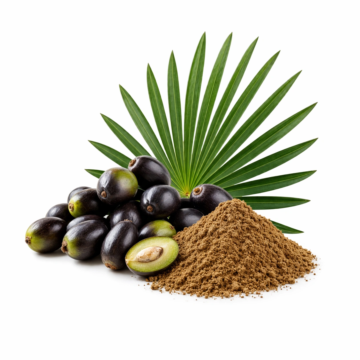 image - 2026-04-03T165741.620